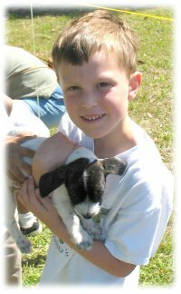 Boy with puppy. WAG